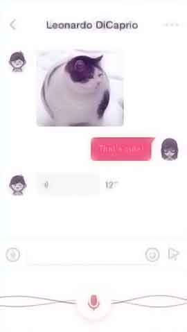 免费ddos网页端软件程序维护界面